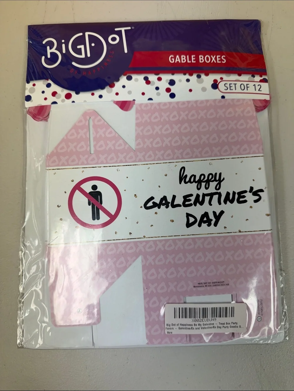 Big Dot of Happiness Happy Galentine’s Day Pink Gable Boxes - Set of 12 new